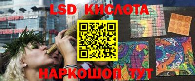 крисы Славгород