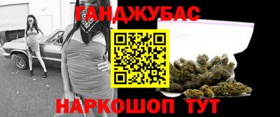 крисы Славгород