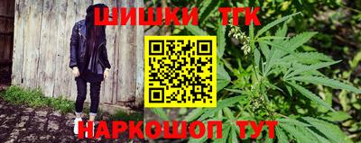крисы Славгород