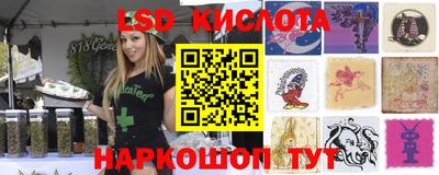 крисы Славгород