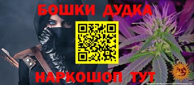 крисы Славгород