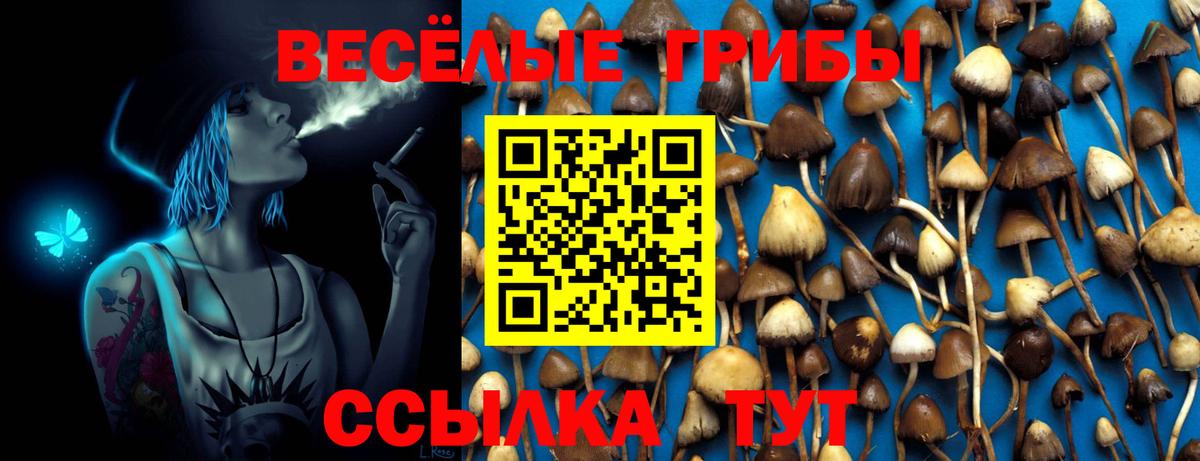 Орехово-Зуево  Галлюциногенные грибы Magic Shrooms  Вход с VPN 