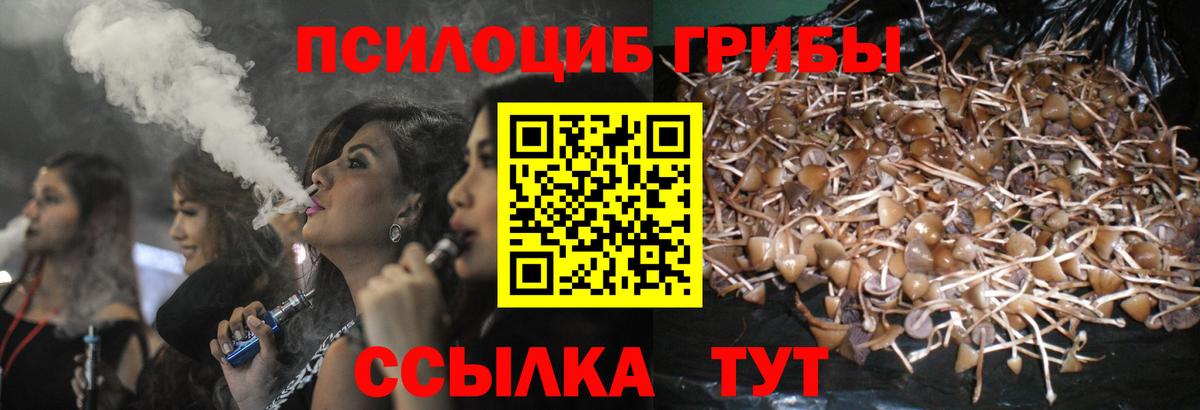 Псилоцибиновые грибы мухоморы Орехово-Зуево